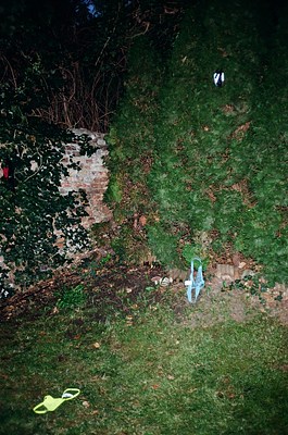Image 19 of 29