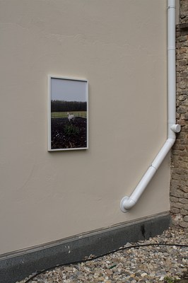 Image 13 of 29