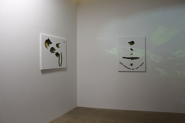 Image 5 of 15