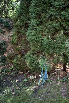 Image 21 of 29