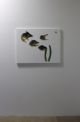 Image 6 of 15