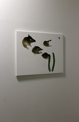 Image 4 of 15