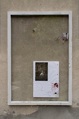 Image 25 of 29