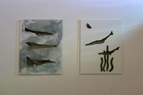 Image 11 of 15