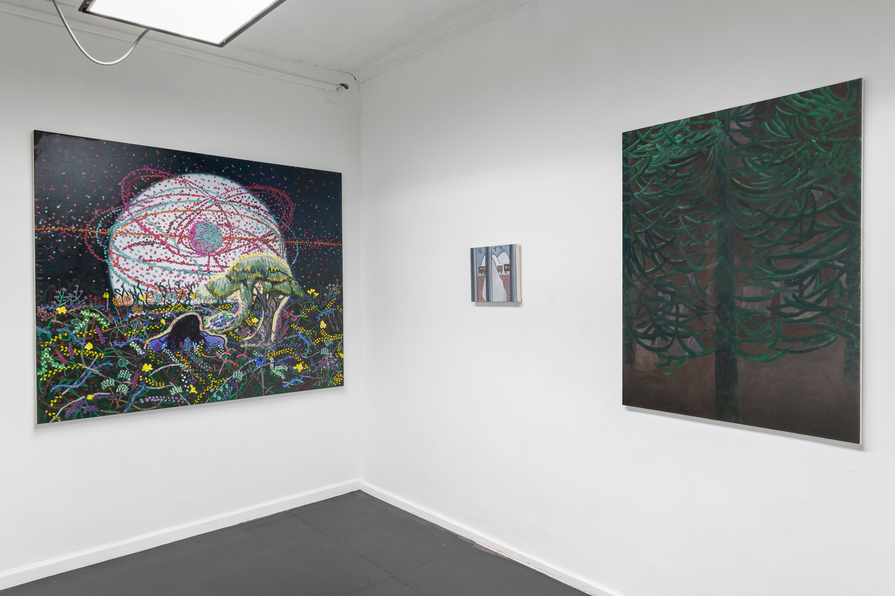Hwi Hahm, Bushman's Poetry, Starman's Prank at Lubov, photo 8