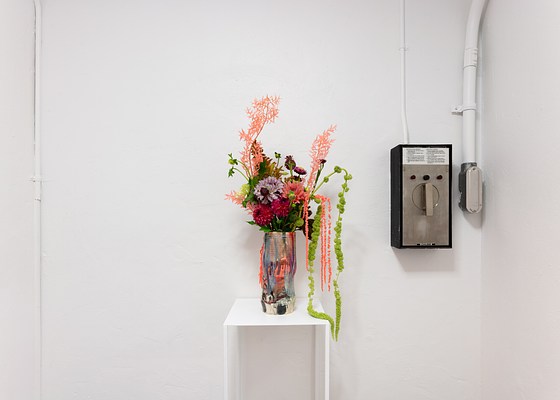 Image 4 of 100