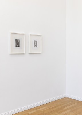 Image 7 of 16