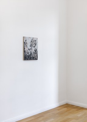 Image 8 of 16