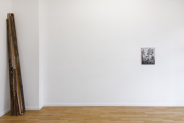 Image 6 of 16