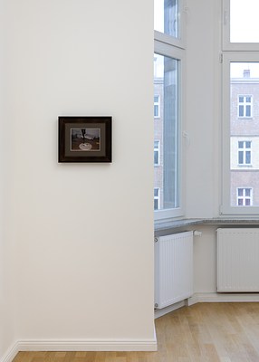 Image 8 of 16