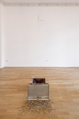 Image 5 of 8
