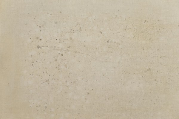 Image 13 of 13