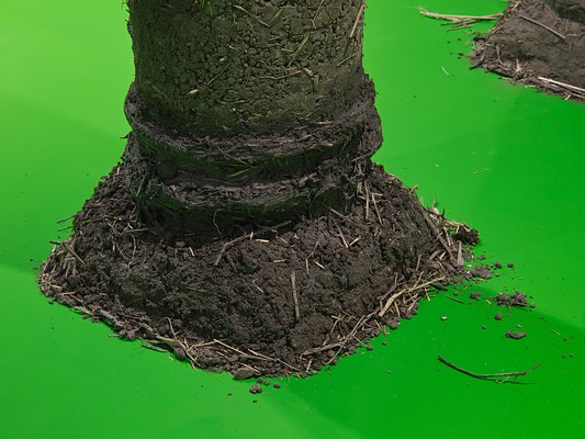Image 11 of 17