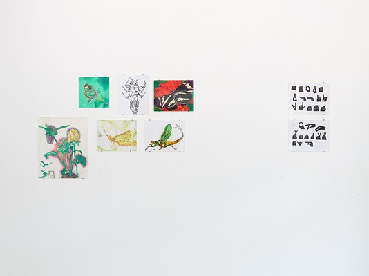 Image 14 of 31