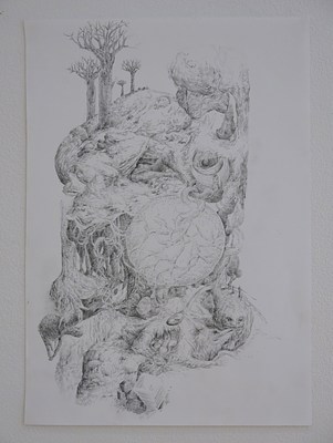 Image 13 of 32
