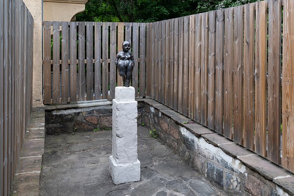Image 25 of 27