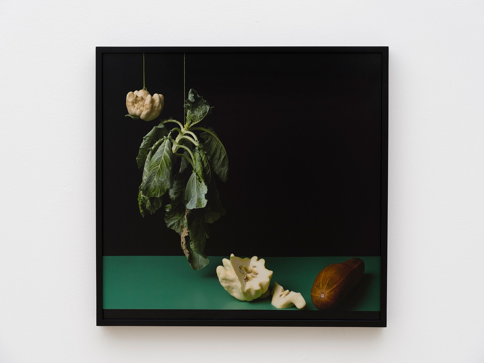 Heather Rasmussen, animal, vegetable, mineral at The Pit, photo 14