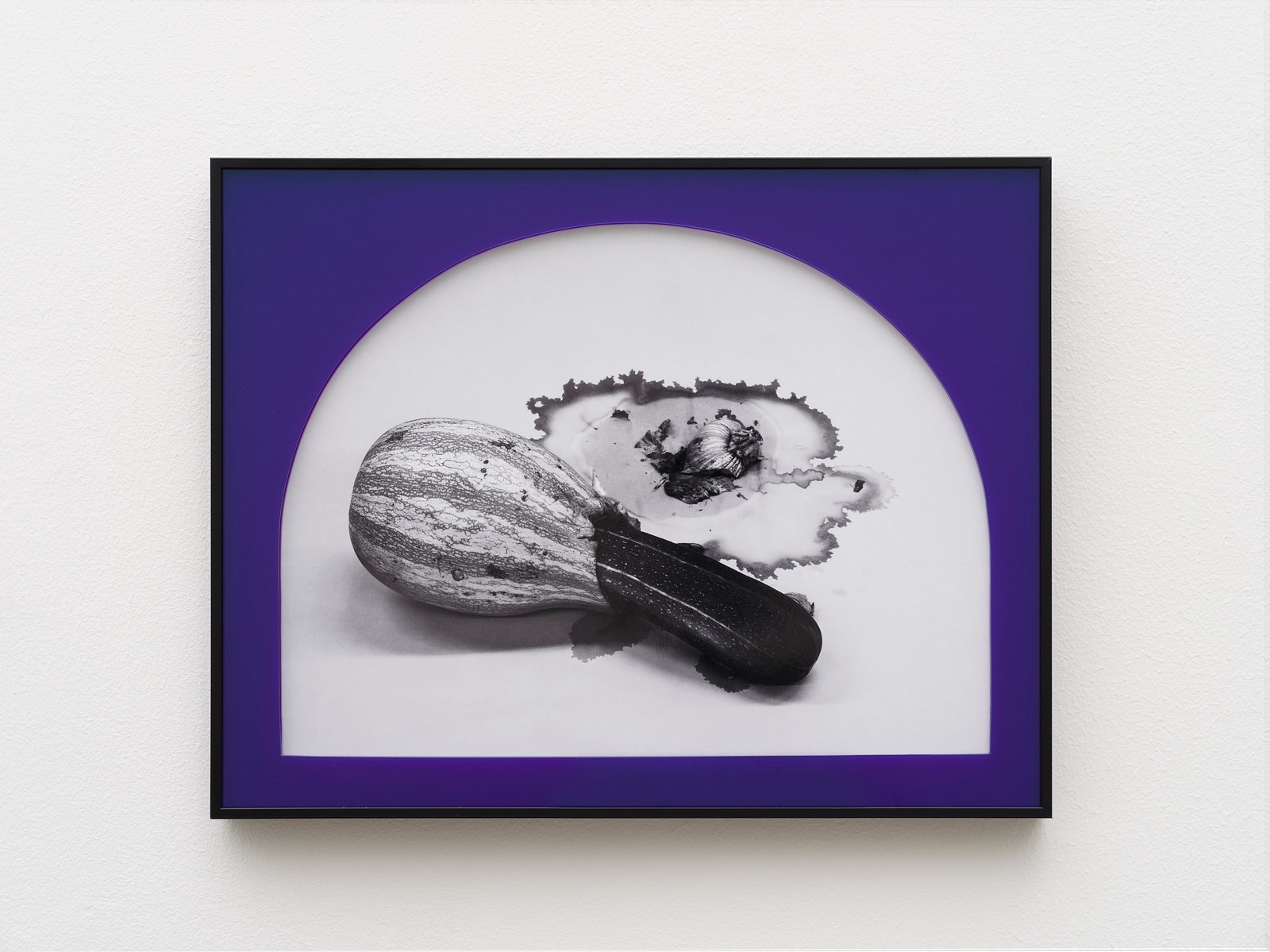 Heather Rasmussen, animal, vegetable, mineral at The Pit, photo 13