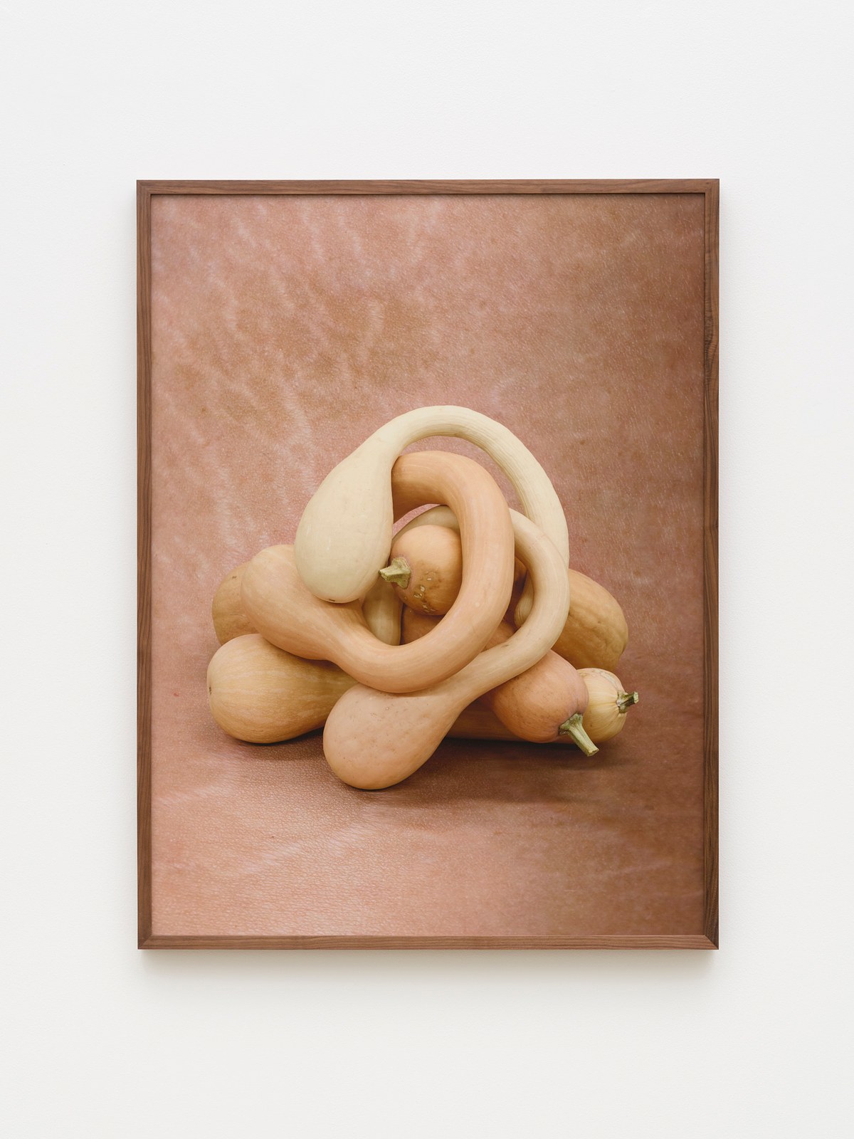 Heather Rasmussen, animal, vegetable, mineral at The Pit, photo 17