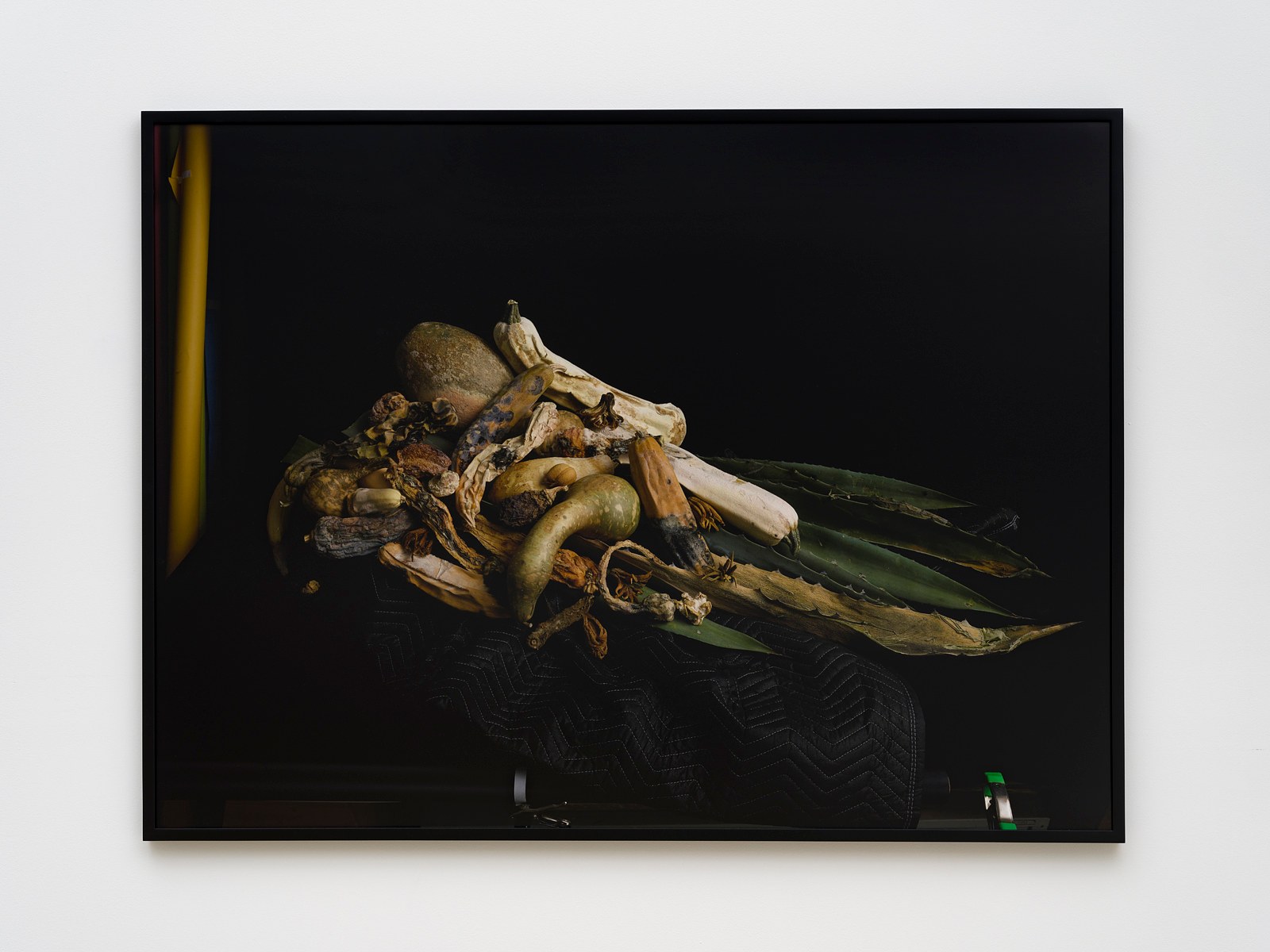 Heather Rasmussen, animal, vegetable, mineral at The Pit, photo 20