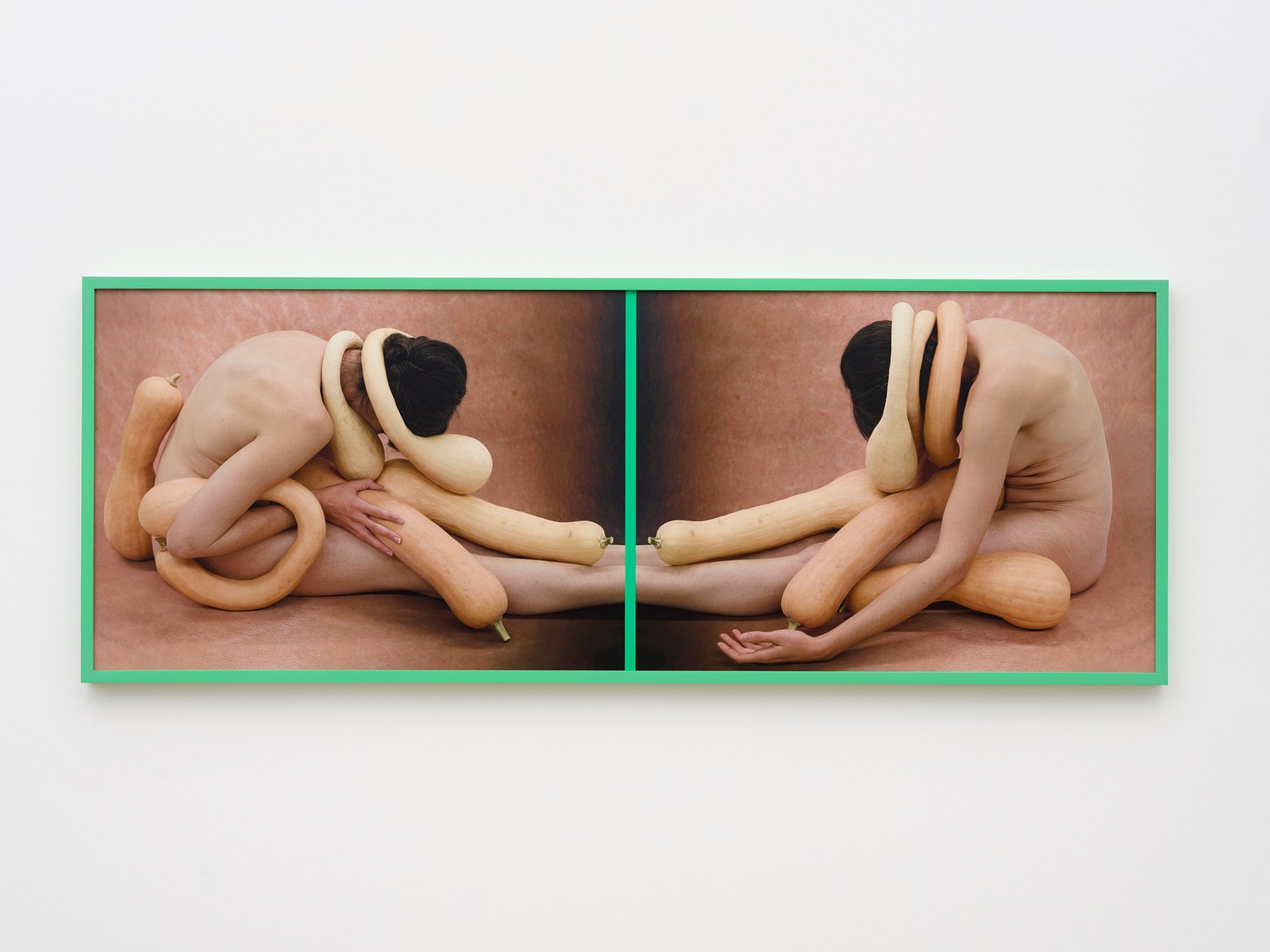 Heather Rasmussen, animal, vegetable, mineral at The Pit, photo 21