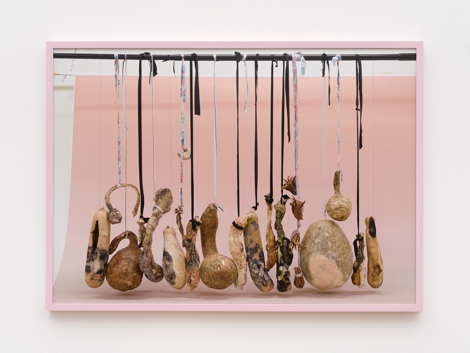 Heather Rasmussen, animal, vegetable, mineral at The Pit, photo 22