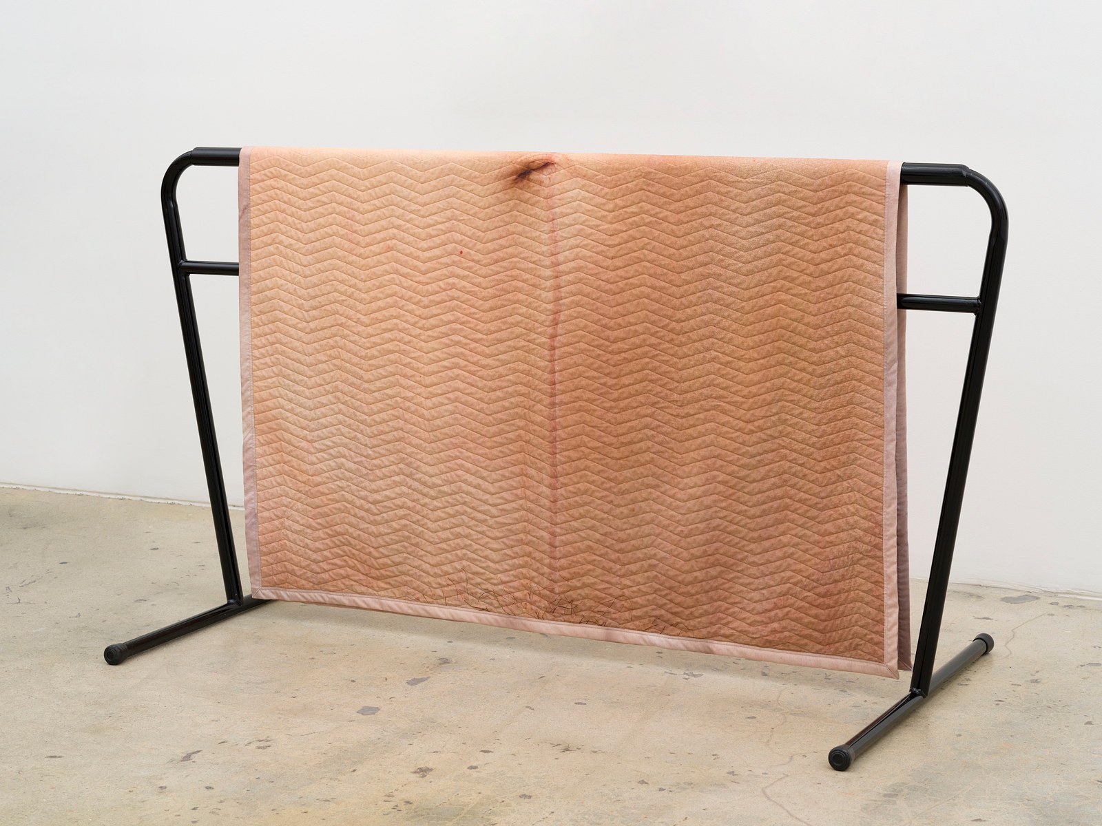 Heather Rasmussen, animal, vegetable, mineral at The Pit, photo 25