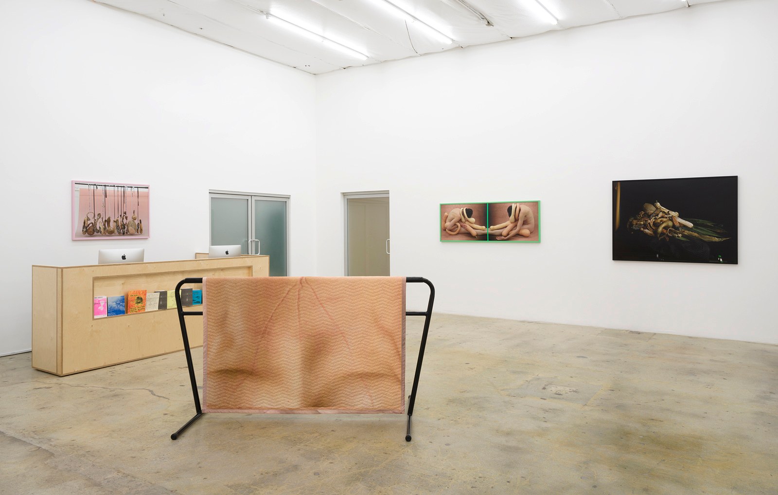 Heather Rasmussen, animal, vegetable, mineral at The Pit, photo 2