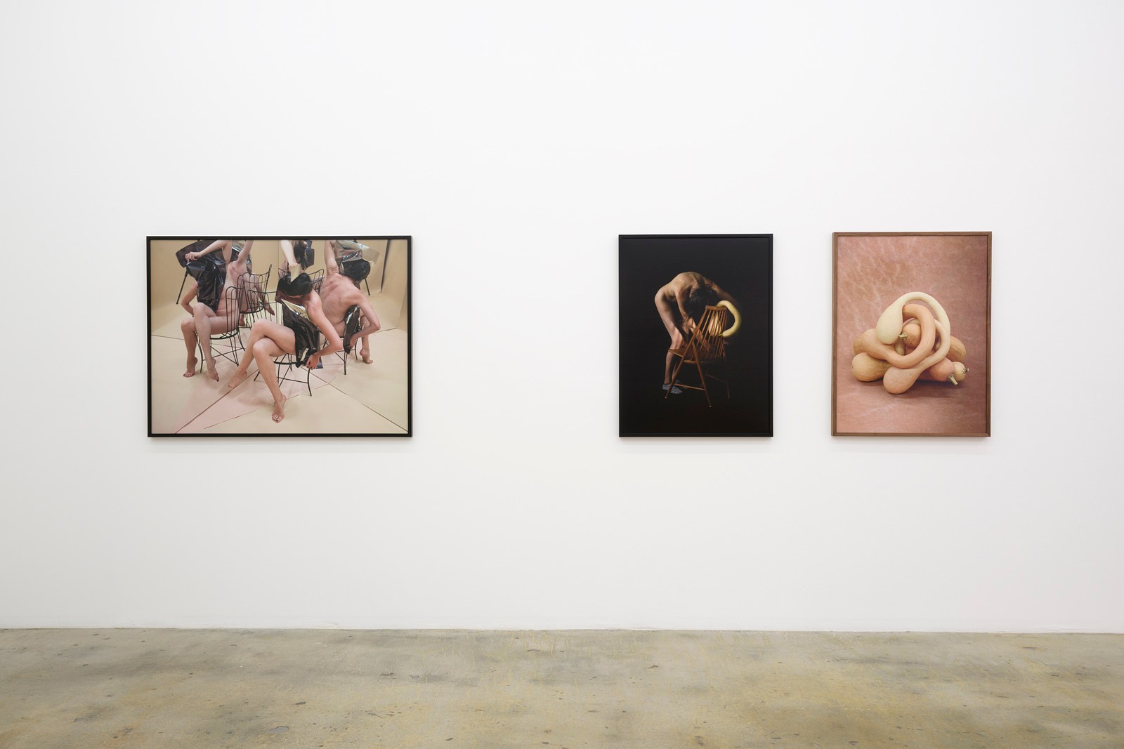 Heather Rasmussen, animal, vegetable, mineral at The Pit, photo 4