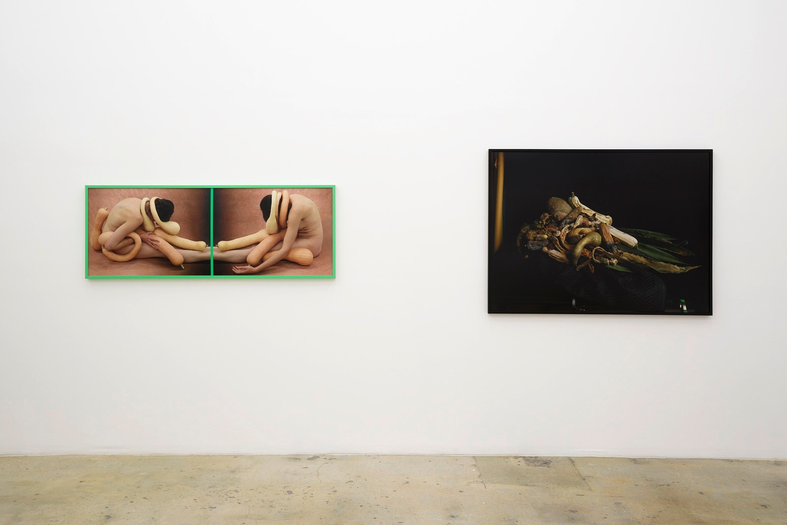 Heather Rasmussen, animal, vegetable, mineral at The Pit, photo 5