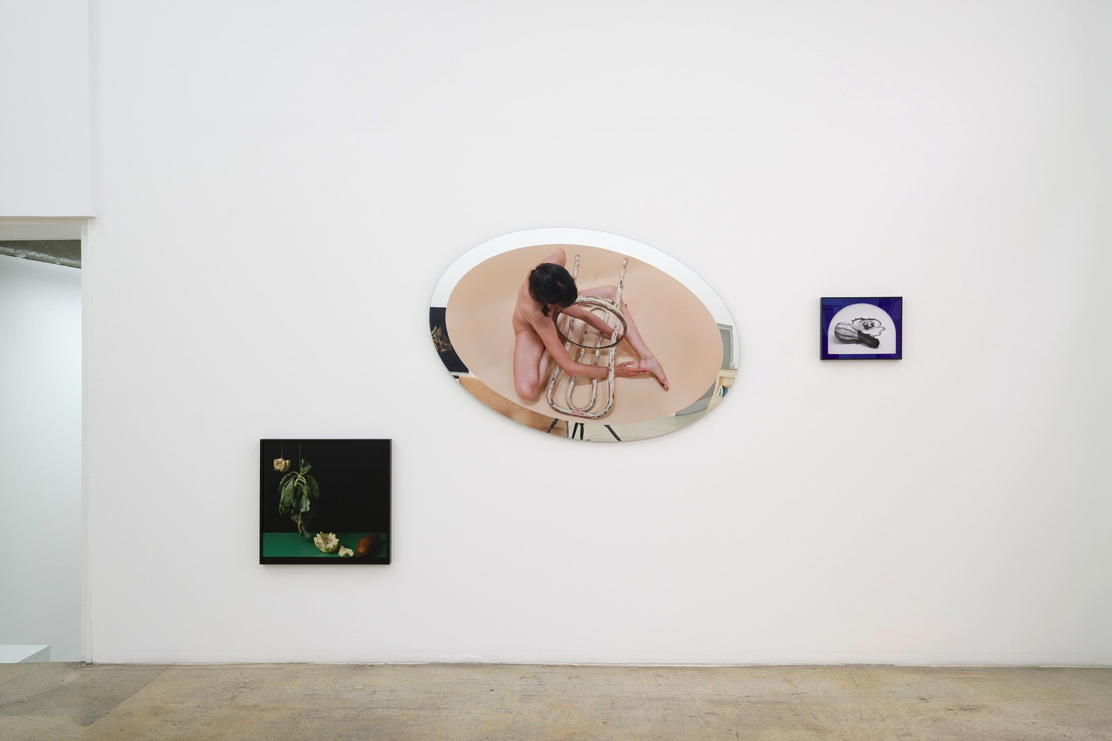 Heather Rasmussen, animal, vegetable, mineral at The Pit, photo 9
