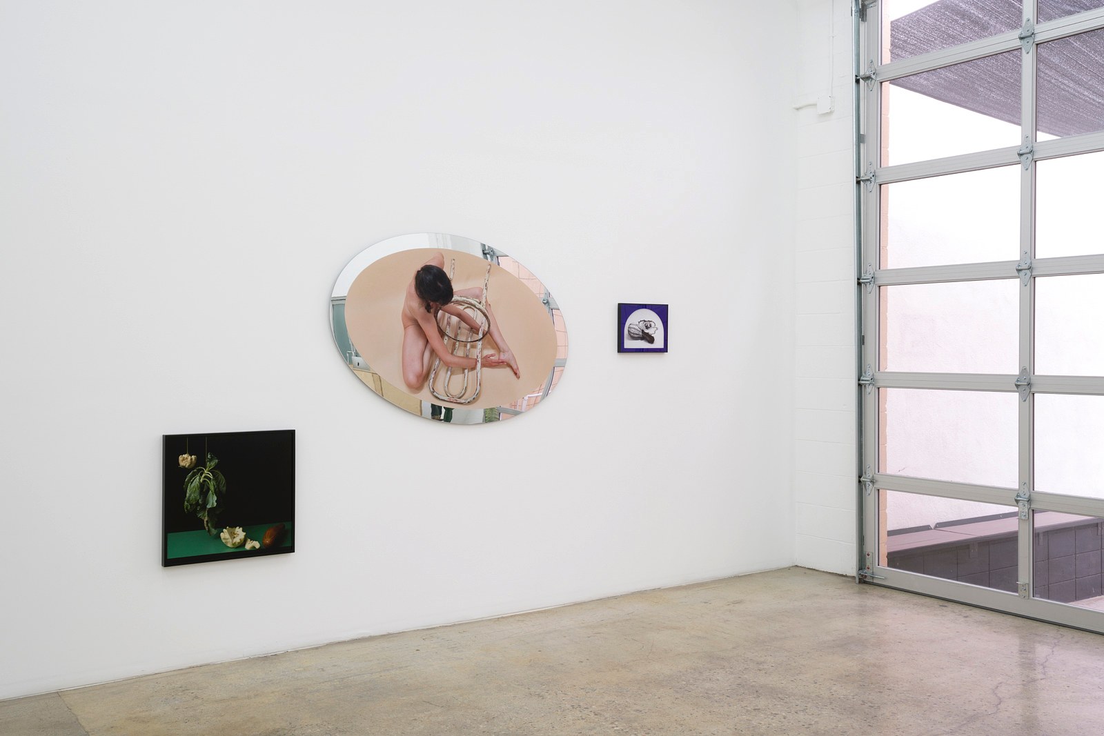 Heather Rasmussen, animal, vegetable, mineral at The Pit, photo 10