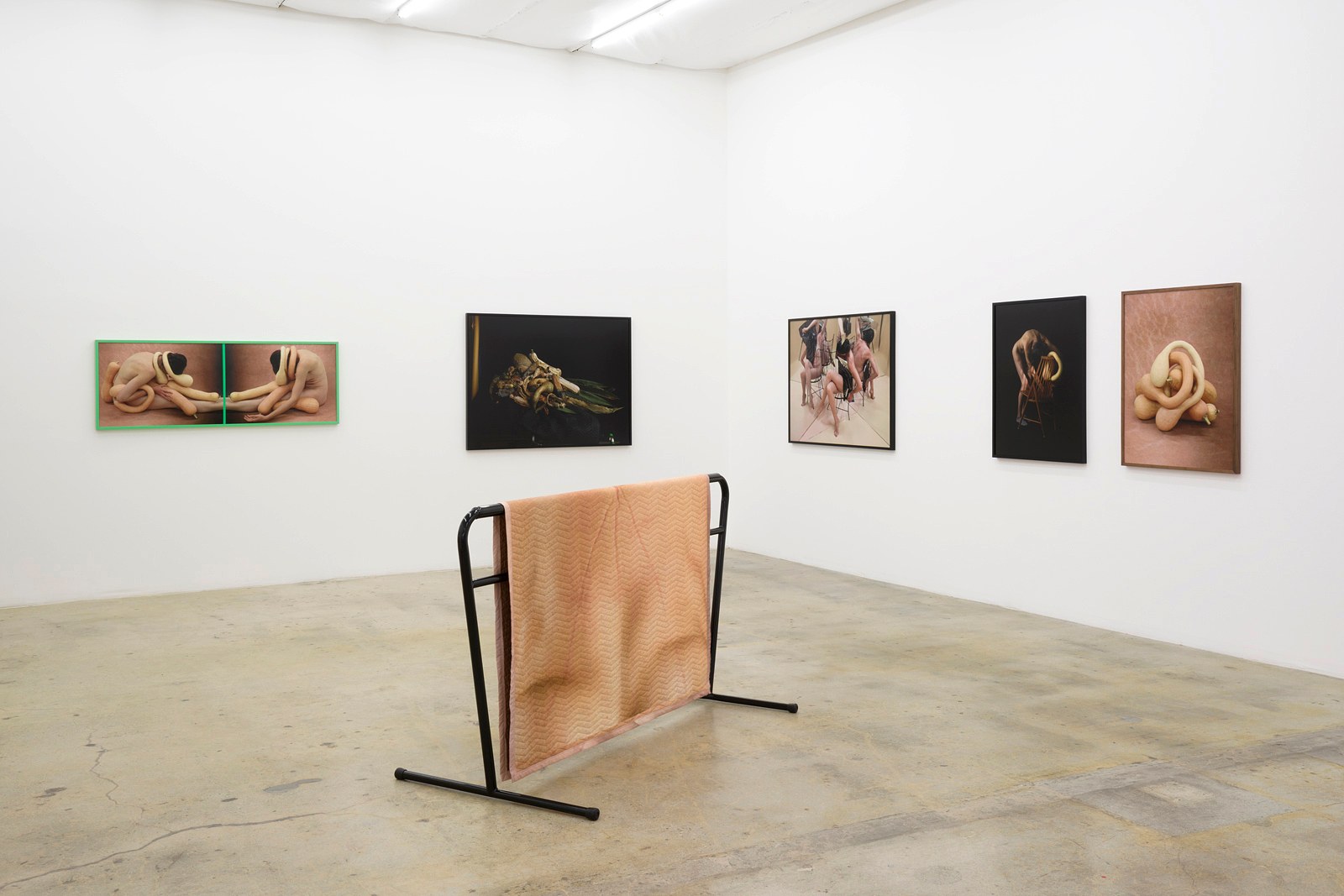 Heather Rasmussen, animal, vegetable, mineral at The Pit, photo 11