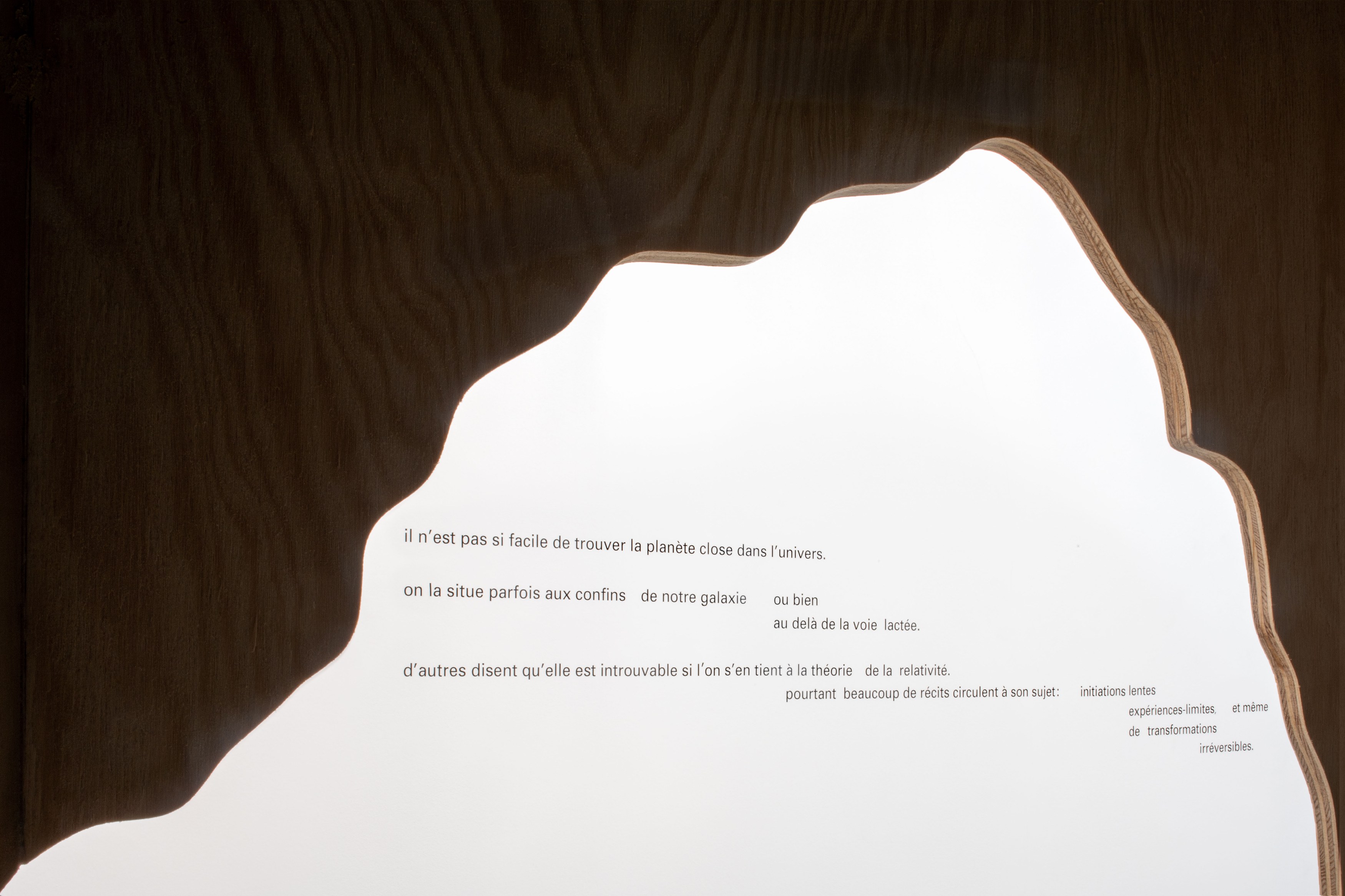 Dominique Gonzalez-Foerster, a chambre humaine & la planète close at Galerie Chantal Crousel, photo 4