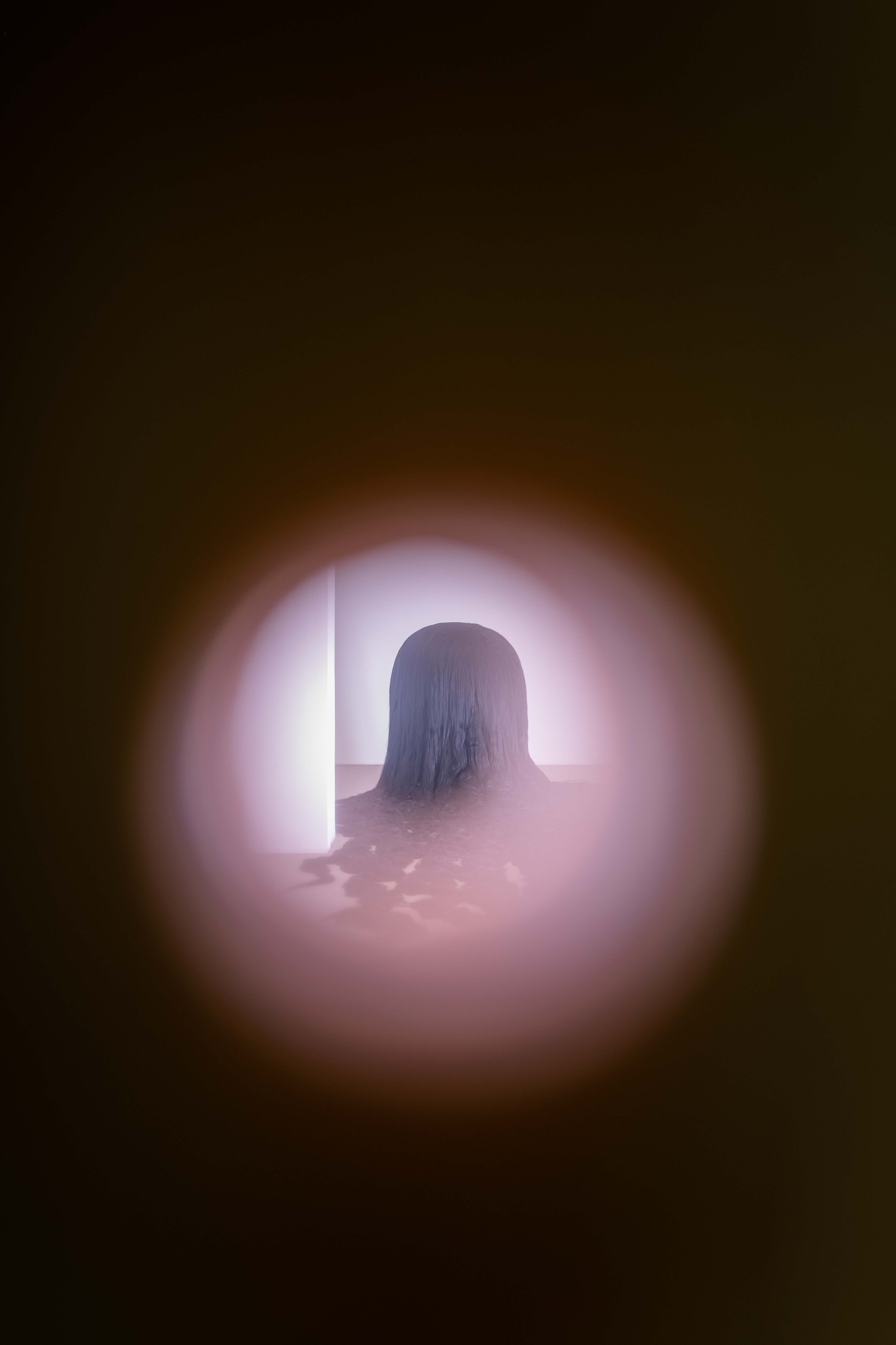 Dominique Gonzalez-Foerster, a chambre humaine & la planète close at Galerie Chantal Crousel, photo 8