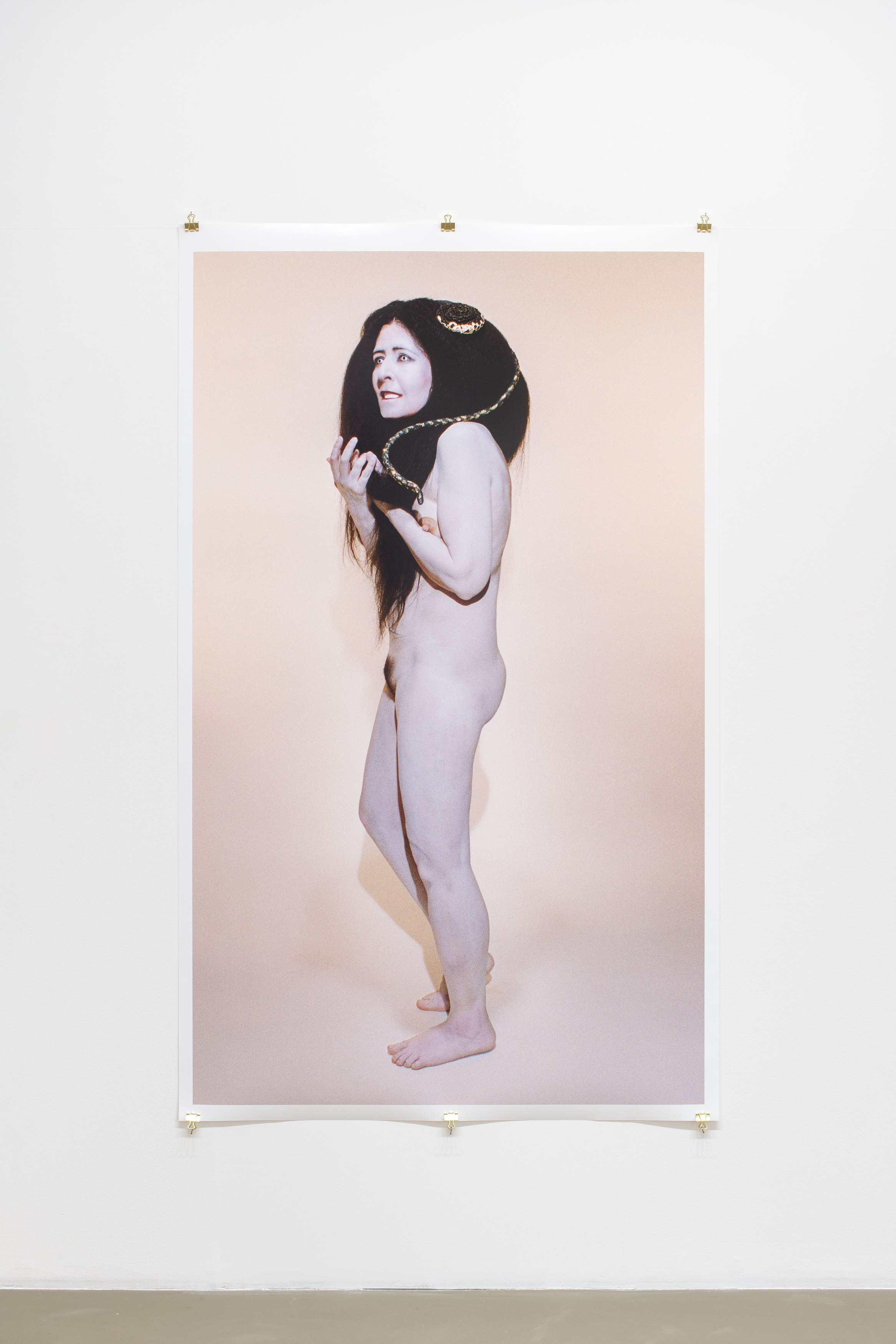 Dominique Gonzalez-Foerster, a chambre humaine & la planète close at Galerie Chantal Crousel, photo 10