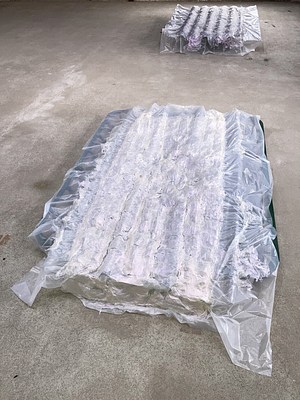 Image 16 of 25