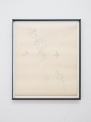 Image 3 of 24
