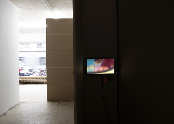 Image 17 of 24