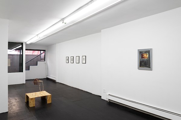 Image 4 of 25