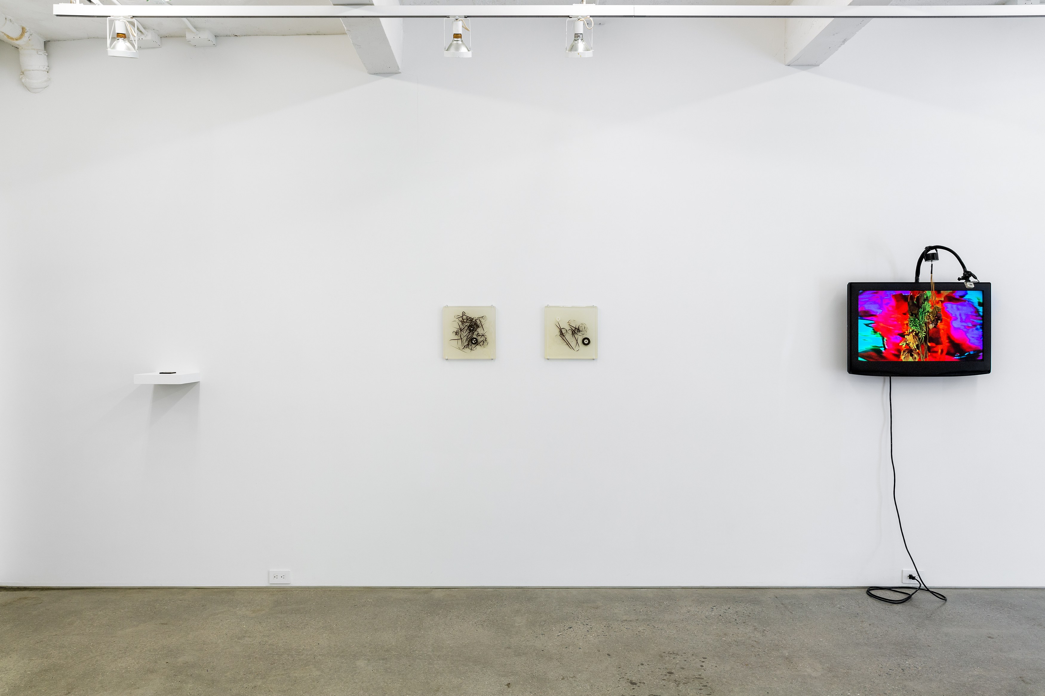The Secret Life of Objects, The Secret Life of Objects at Magenta Plains, photo 12