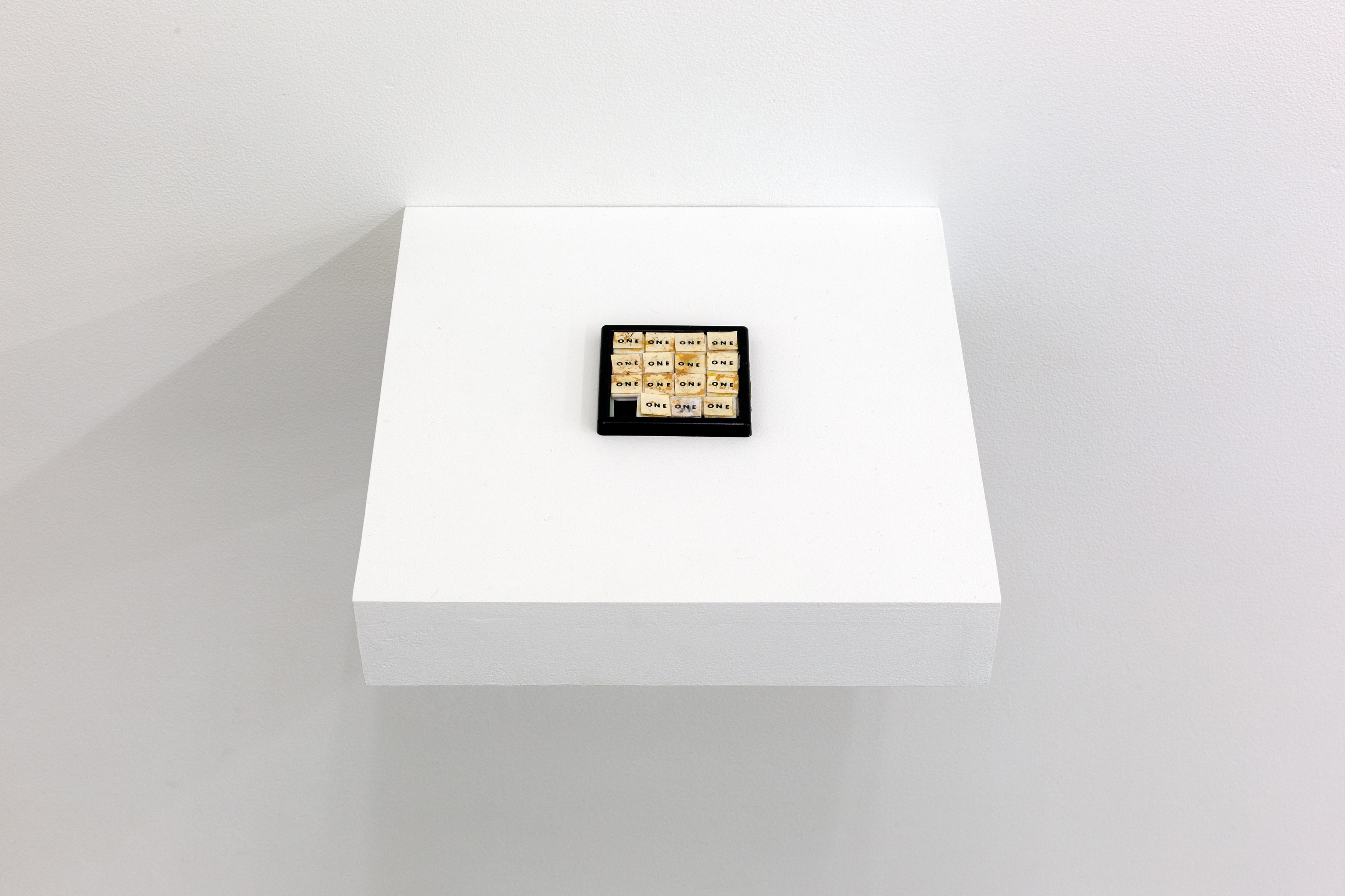 The Secret Life of Objects, The Secret Life of Objects at Magenta Plains, photo 23