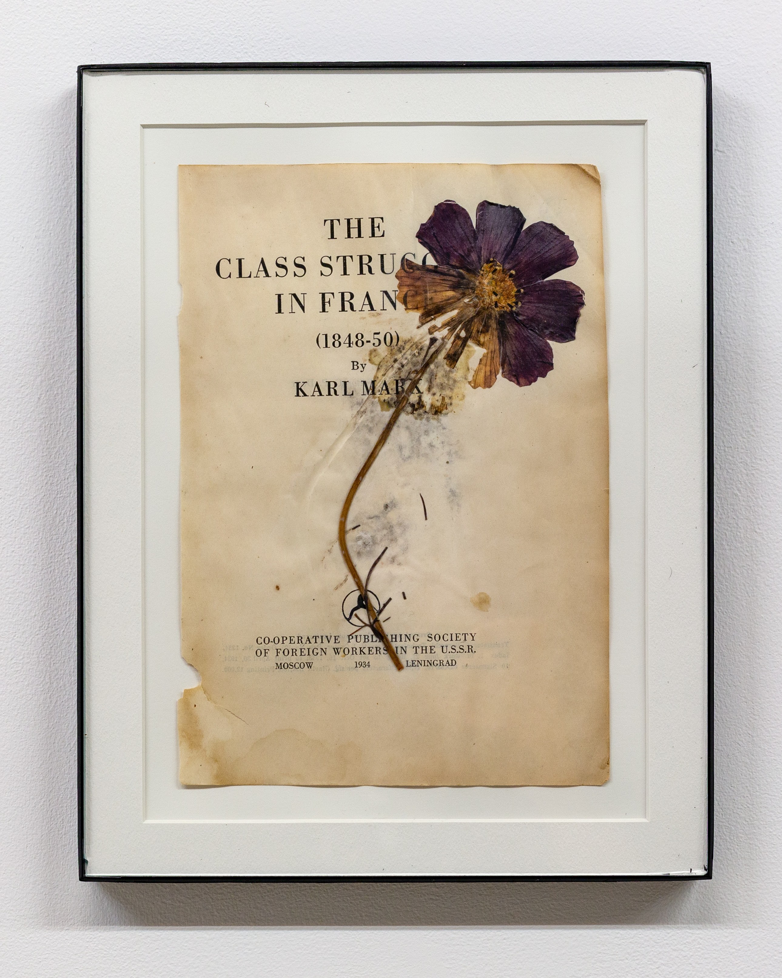 The Secret Life of Objects, The Secret Life of Objects at Magenta Plains, photo 32