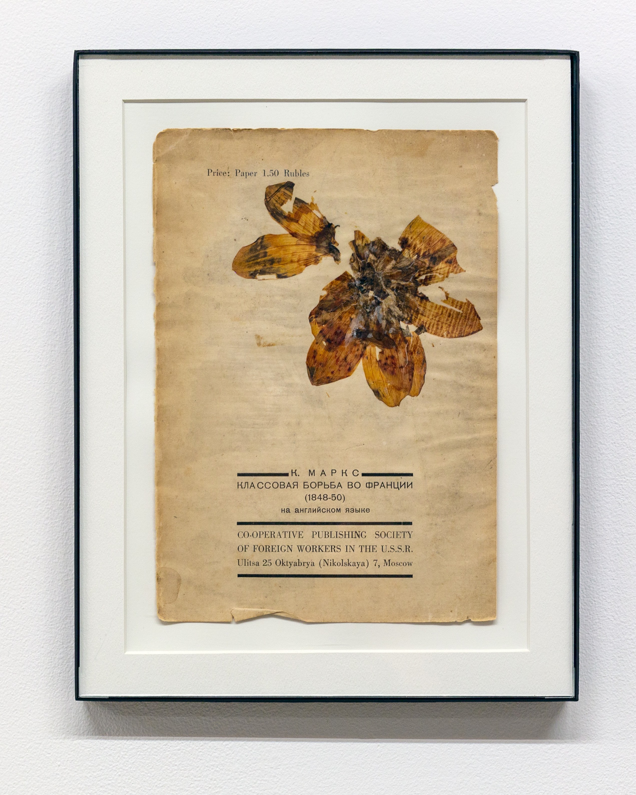 The Secret Life of Objects, The Secret Life of Objects at Magenta Plains, photo 35