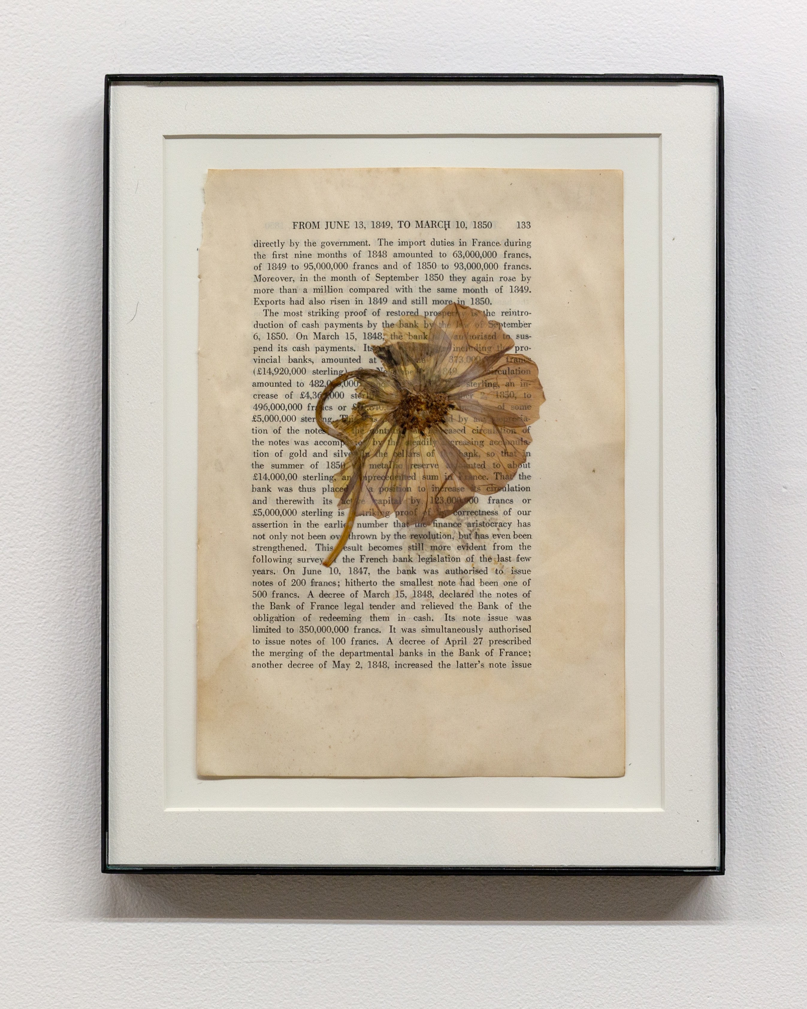 The Secret Life of Objects, The Secret Life of Objects at Magenta Plains, photo 34