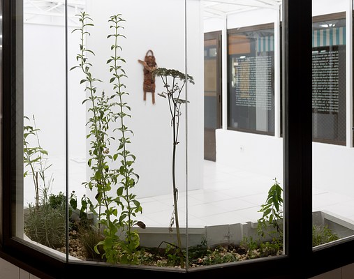 Image 1 of 21
