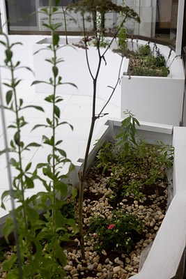 Image 9 of 21