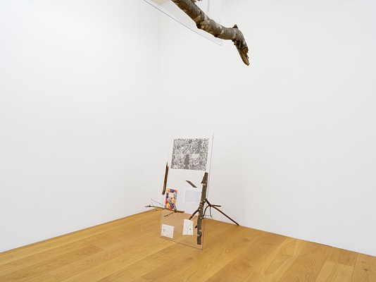 Image 10 of 16