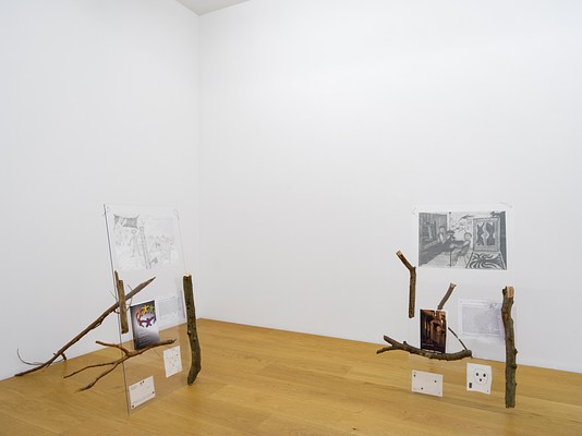 Image 11 of 16