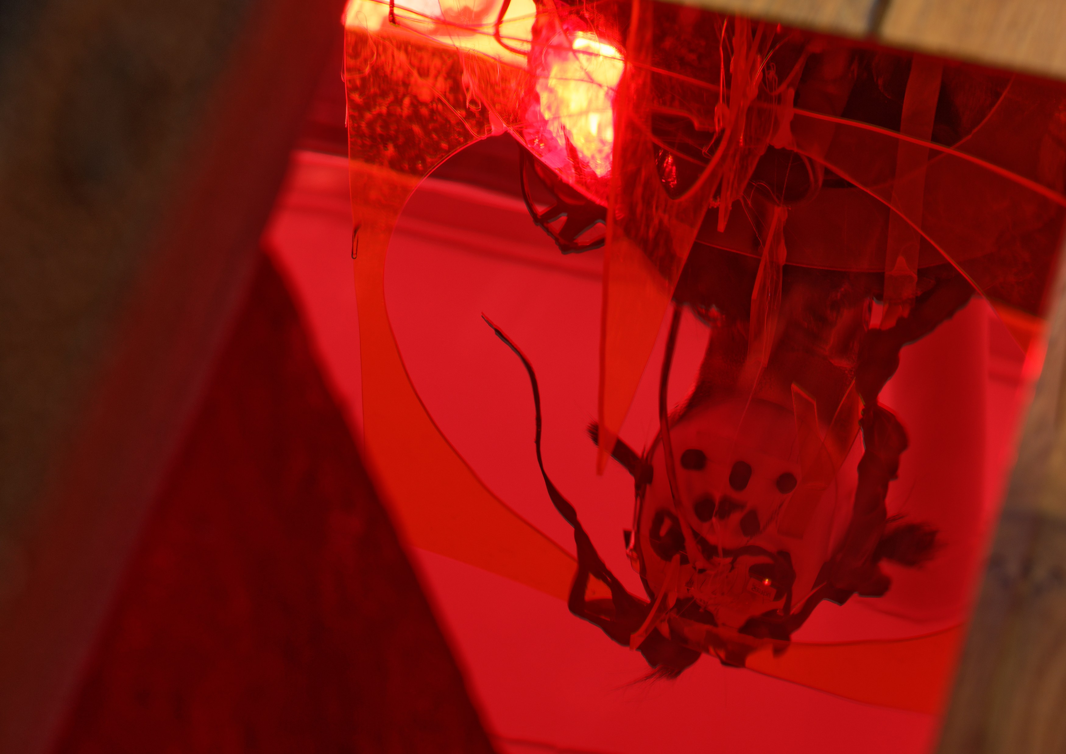 Renaud Jerez, Pandæmonium II at Tragic Venus, CELESTE | data center Marilyn, Champs-sur-Marne, photo 8